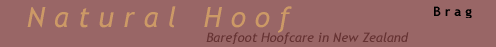 Natural Hoof