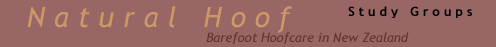 Natural Hoof